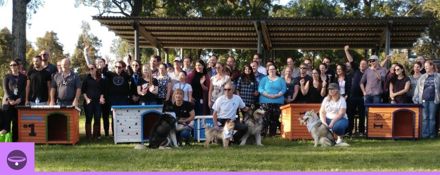 Woolworths kennel building day - Kennels donated to AMRAA